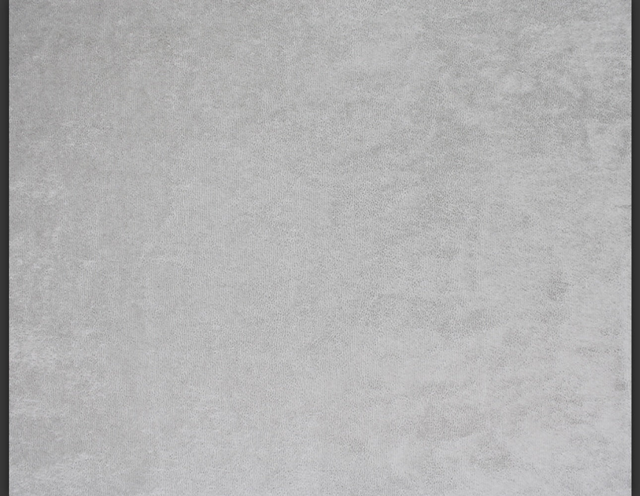 Sofia Suit with Shorts image 4